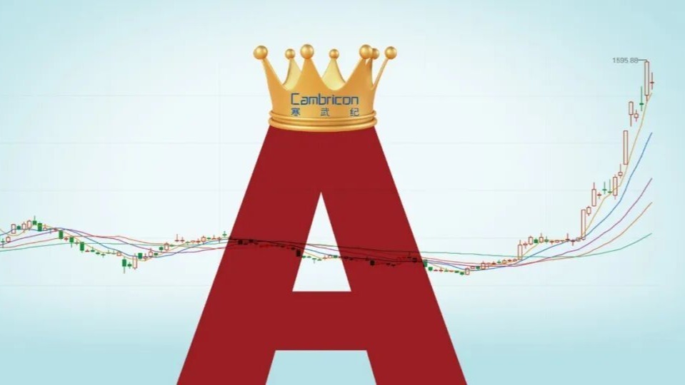 A股新王“登基” 寒武纪凭什么？