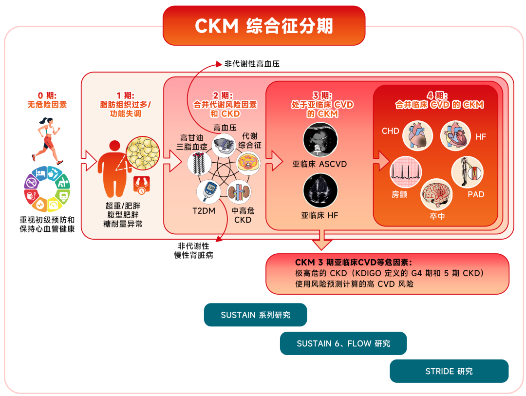 基于超 9 万人的 RCT 数据证实：利拉鲁肽和司美格鲁肽不增加 NAION 风险