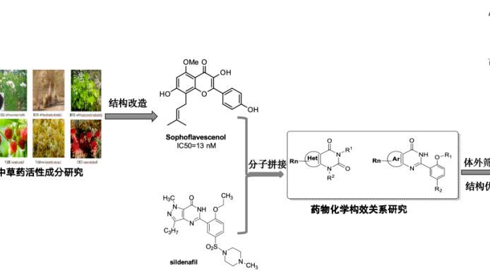 4 成 40 岁以上男性患有 ED，国产创新药带来最新解决方案